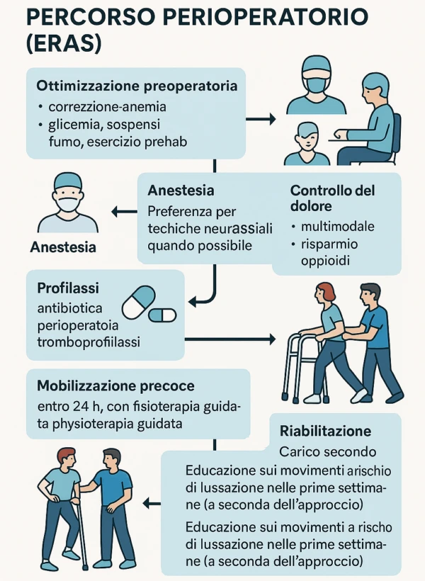 Infografica in italiano sul percorso perioperatorio ERAS per la protesi d’anca: ottimizzazione preoperatoria, anestesia, profilassi, controllo del dolore, mobilizzazione precoce e riabilitazione.